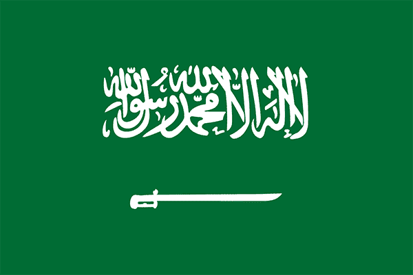 Arabia Saudí Mundial 2018 – Guía y Análisis