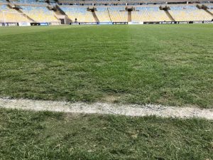 Influencia de un Césped Malo en las Apuestas