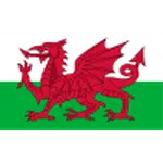 Wales U17